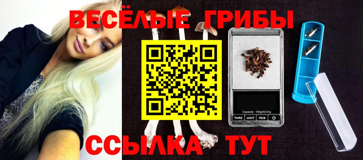 Дюртюли  Псилоцибиновые грибы Magic Shrooms  сколько стоит  Вход с VPN 